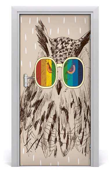 Autocolante pentru usi Owls ochelari