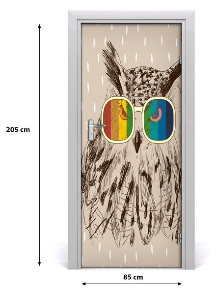 Autocolante pentru usi Owls ochelari