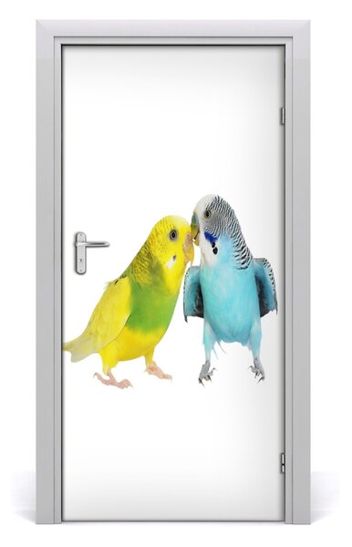 Autocolante pentru usi budgies