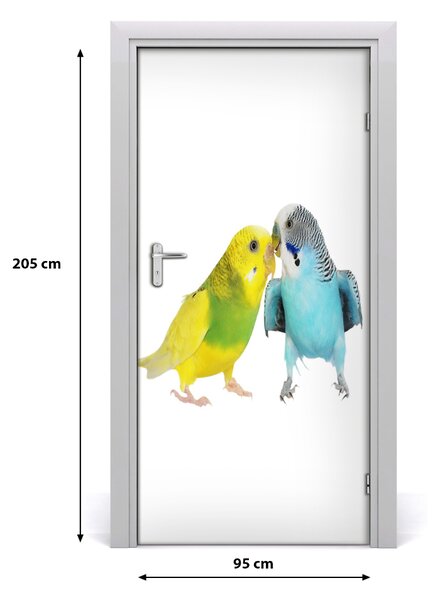 Autocolante pentru usi budgies
