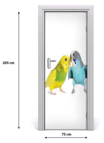 Autocolante pentru usi budgies
