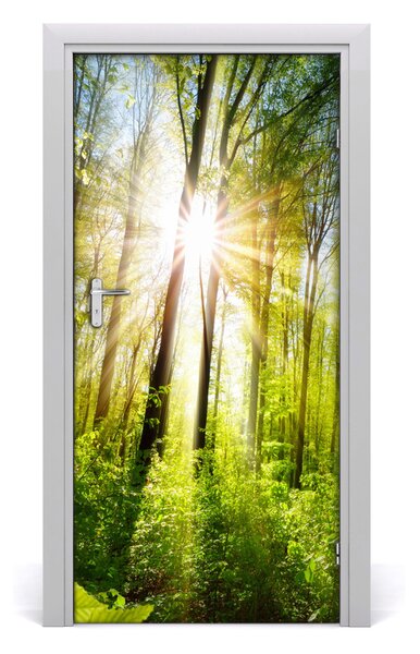 Autocolante pentru usi Soare în pădure