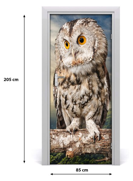 Autocolante pentru usi Owl pe deal