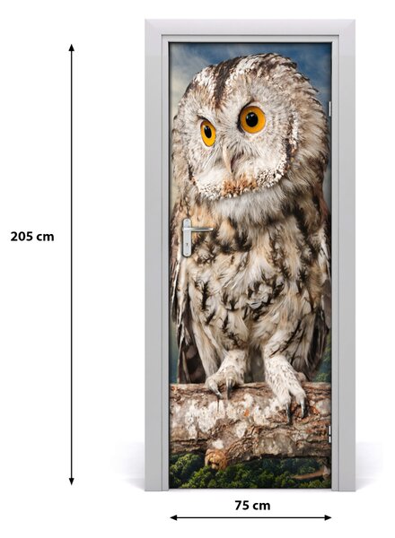 Autocolante pentru usi Owl pe deal