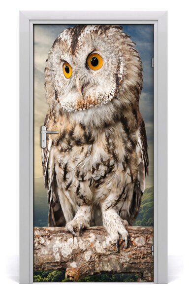 Autocolante pentru usi Owl pe deal