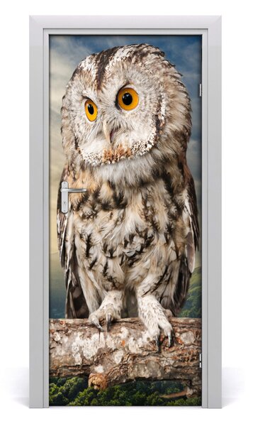 Autocolante pentru usi Owl pe deal