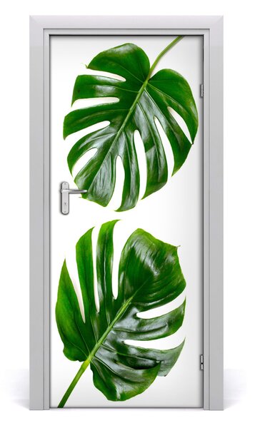 Autocolante pentru usi Monstera