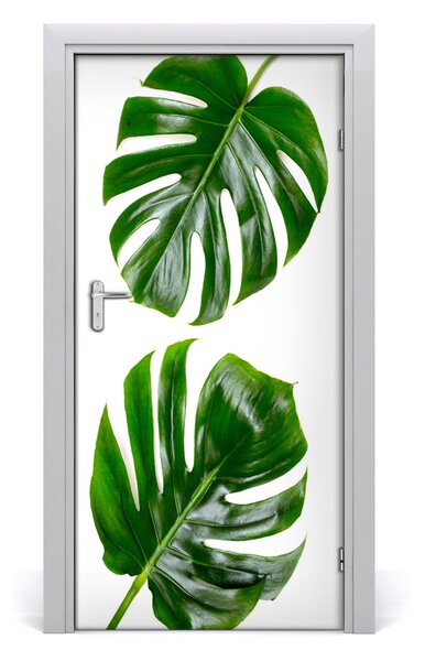 Autocolante pentru usi Monstera