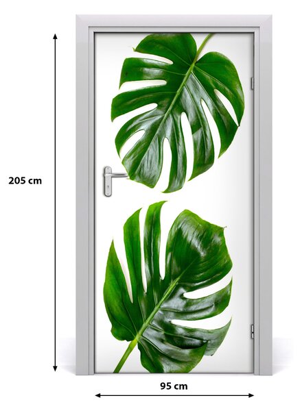 Autocolante pentru usi Monstera