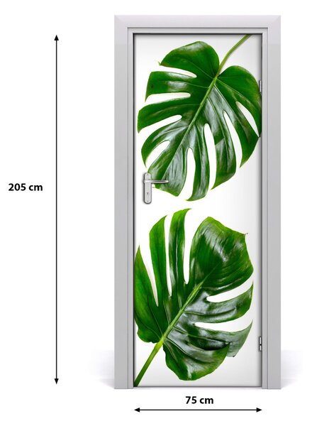 Autocolante pentru usi Monstera