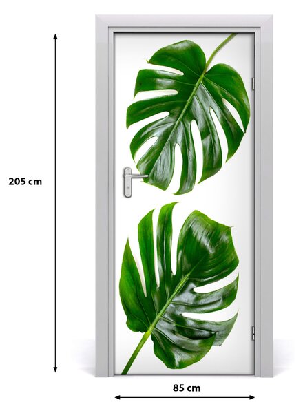 Autocolante pentru usi Monstera