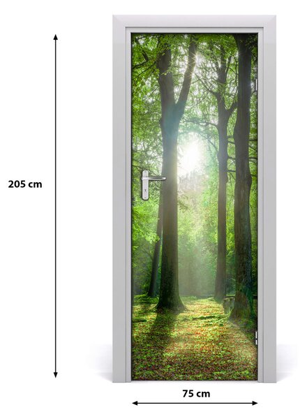 Autocolante pentru usi Soare în pădure