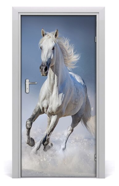 Autocolante pentru usi un cal în galop