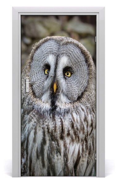 Autocolante pentru usi Owl de perete