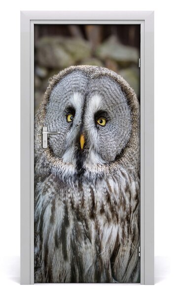 Autocolante pentru usi Owl de perete