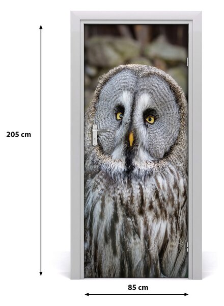 Autocolante pentru usi Owl de perete