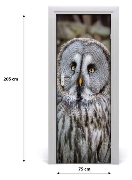 Autocolante pentru usi Owl de perete