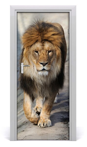 Autocolante pentru usi perete Lion