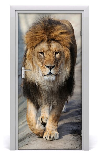 Autocolante pentru usi perete Lion