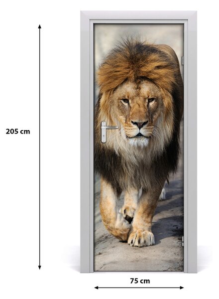 Autocolante pentru usi perete Lion