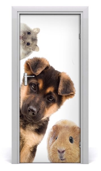 Autocolante pentru usi Animale de companie