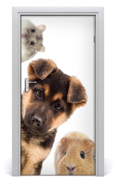 Autocolante pentru usi Animale de companie