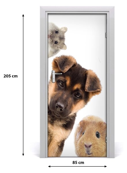 Autocolante pentru usi Animale de companie