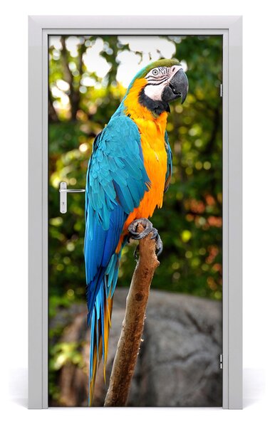 Autocolante pentru usi Parrot perete Emirates