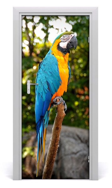 Autocolante pentru usi Parrot perete Emirates