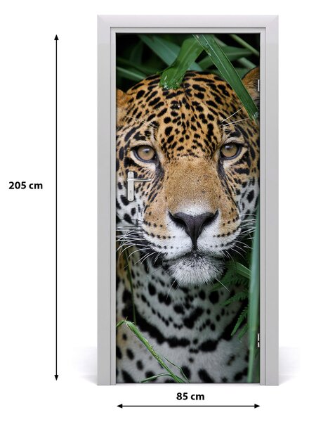 Autocolante pentru usi ușă autoadeziv Jaguar în Amazon