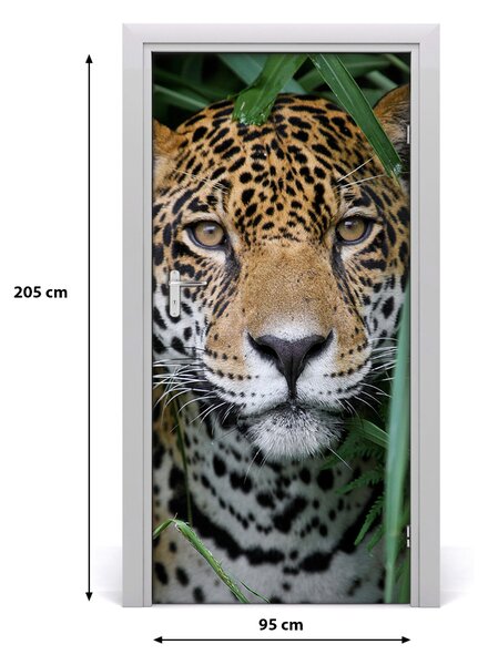 Autocolante pentru usi ușă autoadeziv Jaguar în Amazon