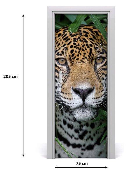 Autocolante pentru usi ușă autoadeziv Jaguar în Amazon