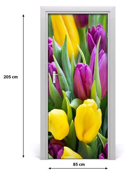 Autocolante pentru usi lalele colorate