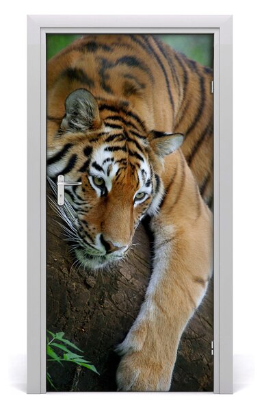 Autocolante pentru usi Tiger pe un copac