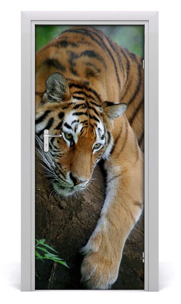 Autocolante pentru usi Tiger pe un copac