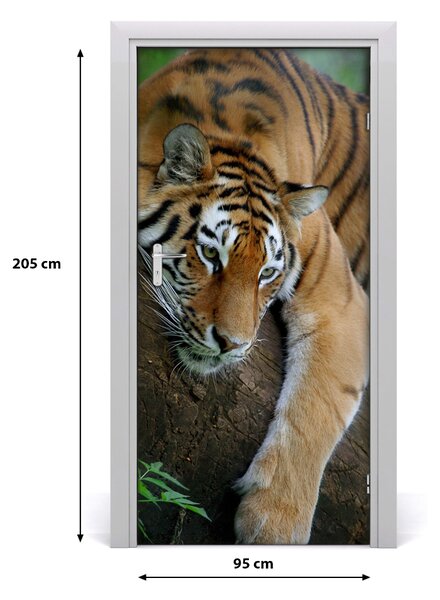 Autocolante pentru usi Tiger pe un copac