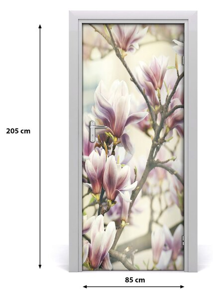 Autocolante pentru usi Ușa Magnolia