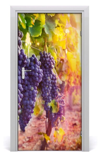 Autocolante pentru usi Peisaje pentru viticultura