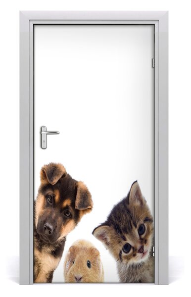 Autocolante pentru usi Animale de companie
