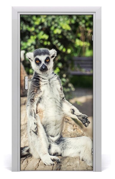 Autocolante pentru usi perete lemur