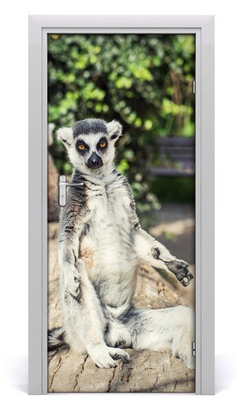 Autocolante pentru usi perete lemur