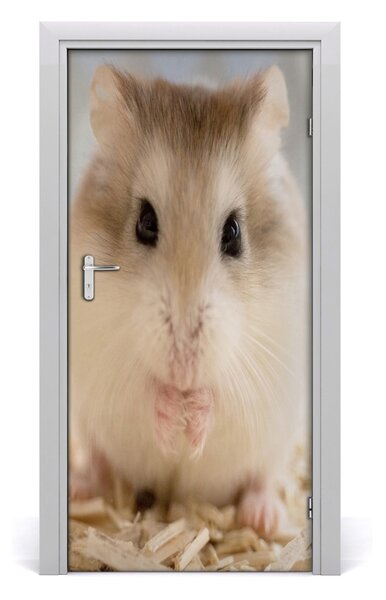 Autocolante pentru usi hamster de perete