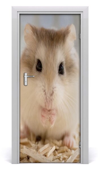 Autocolante pentru usi hamster de perete