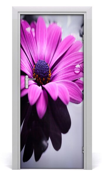 Autocolante pentru usi gerbera roz