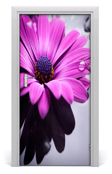 Autocolante pentru usi gerbera roz