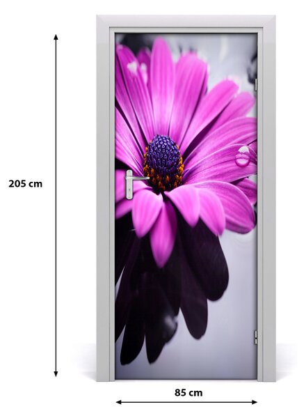 Autocolante pentru usi gerbera roz