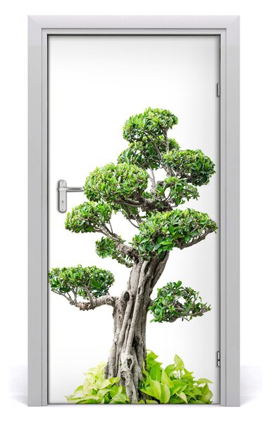 Autocolante pentru usi copac bonsai
