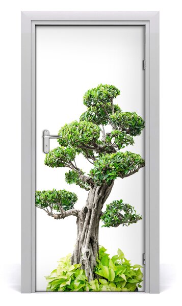 Autocolante pentru usi copac bonsai