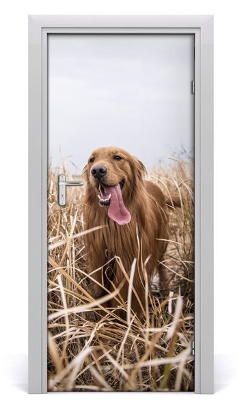 Autocolante pentru usi Labrador