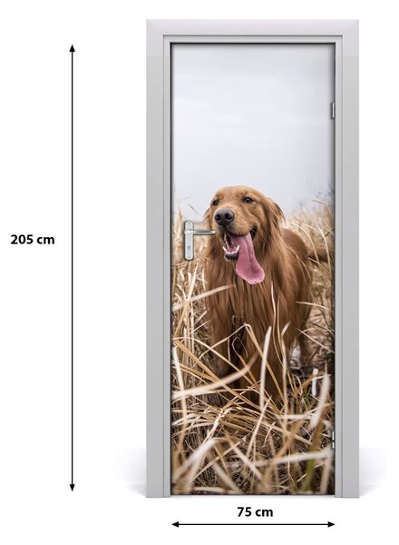 Autocolante pentru usi Labrador